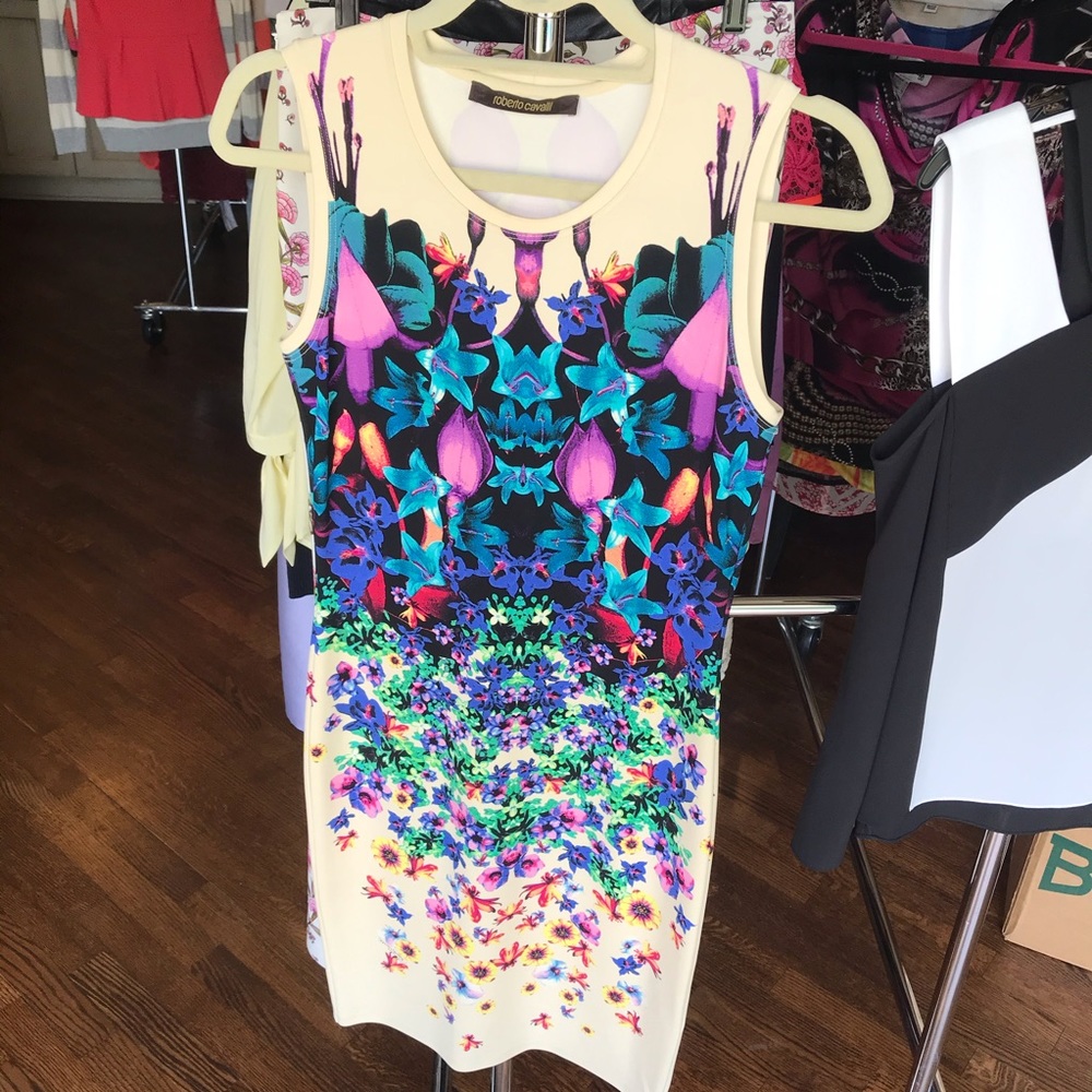 Roberto Cavalli Dress